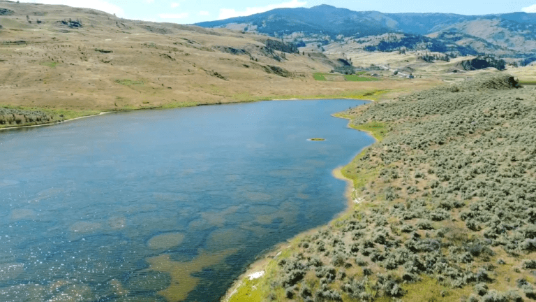 spotted lake2 1