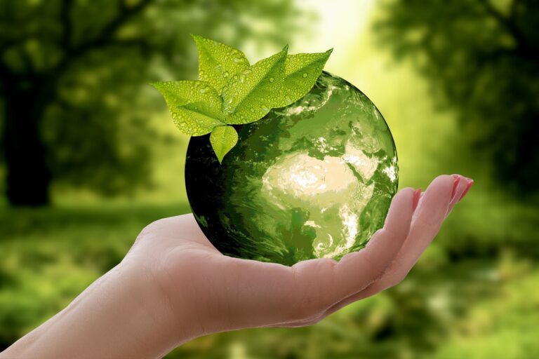 save nature through reuse recycling