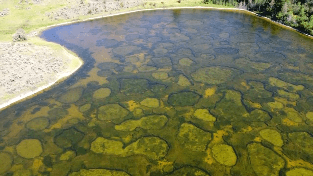 spotted lake3